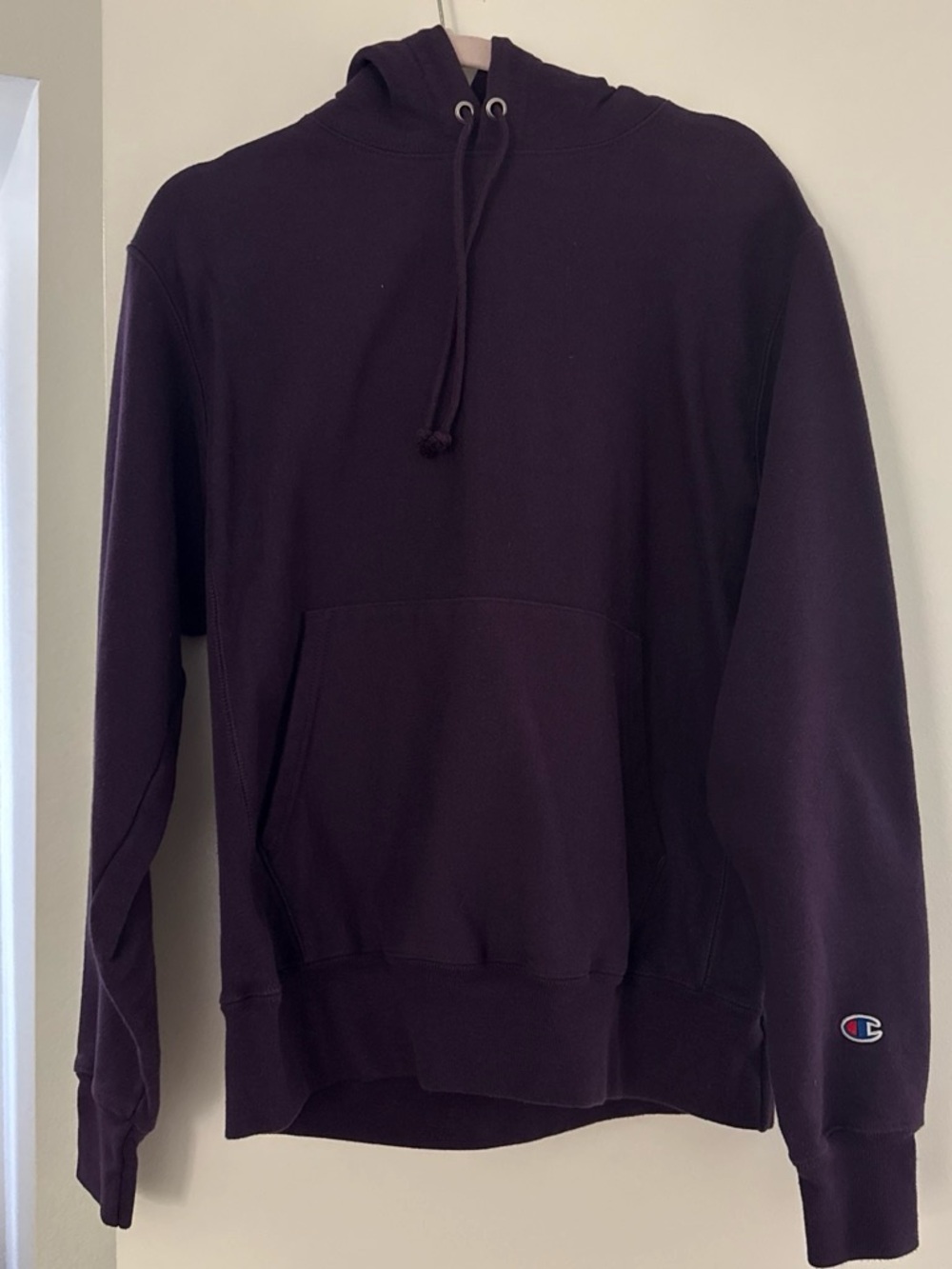 Champion Pullover Hoodie in Deep Plum